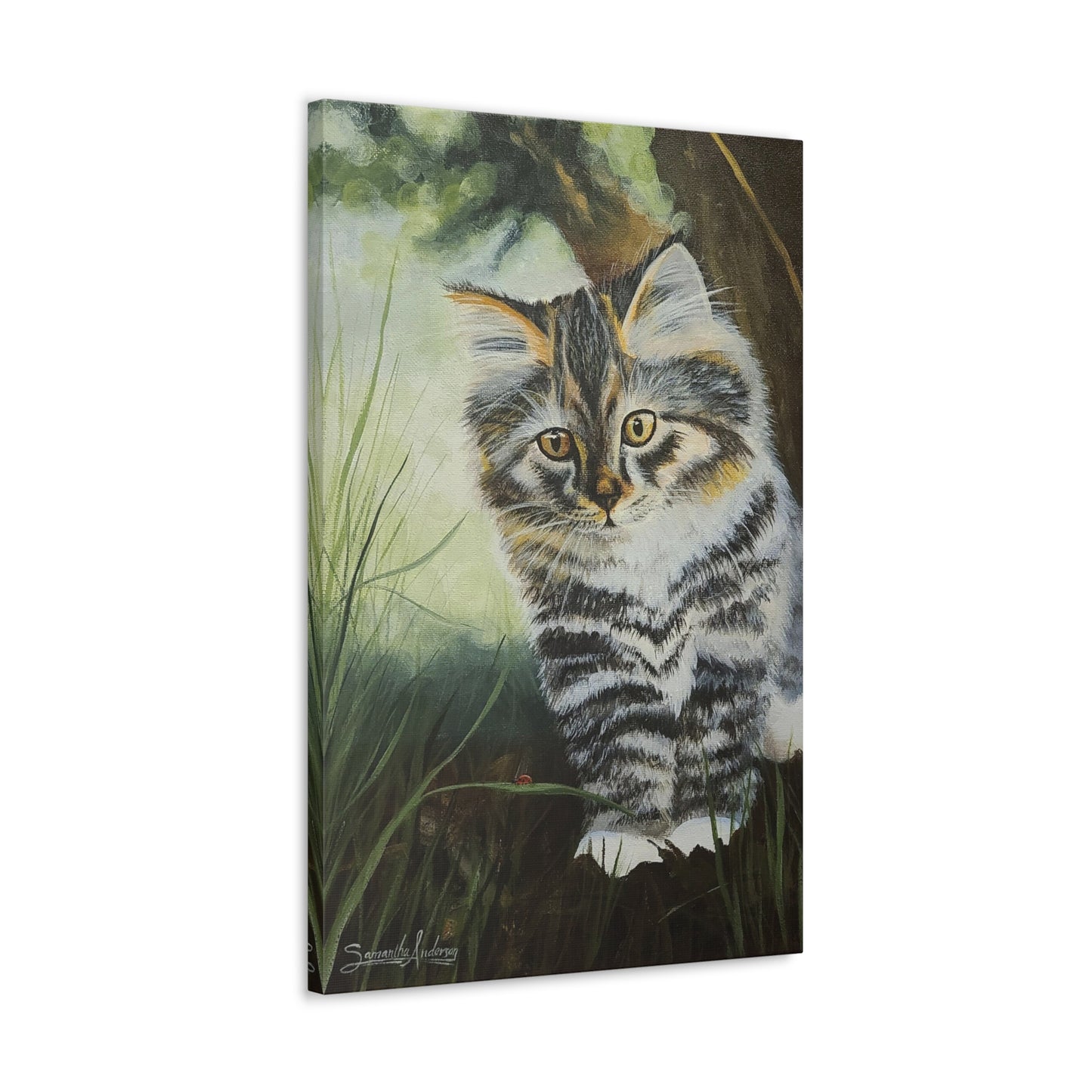 Tabby Kitten - Classic Canvas