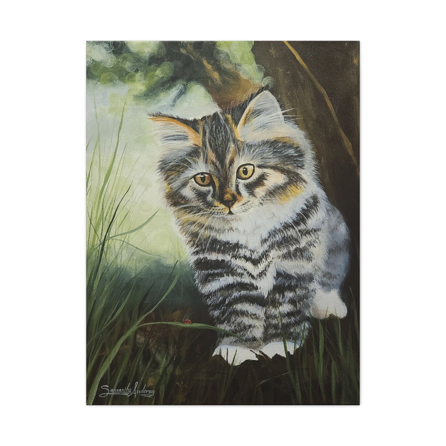 Tabby Kitten - Classic Canvas