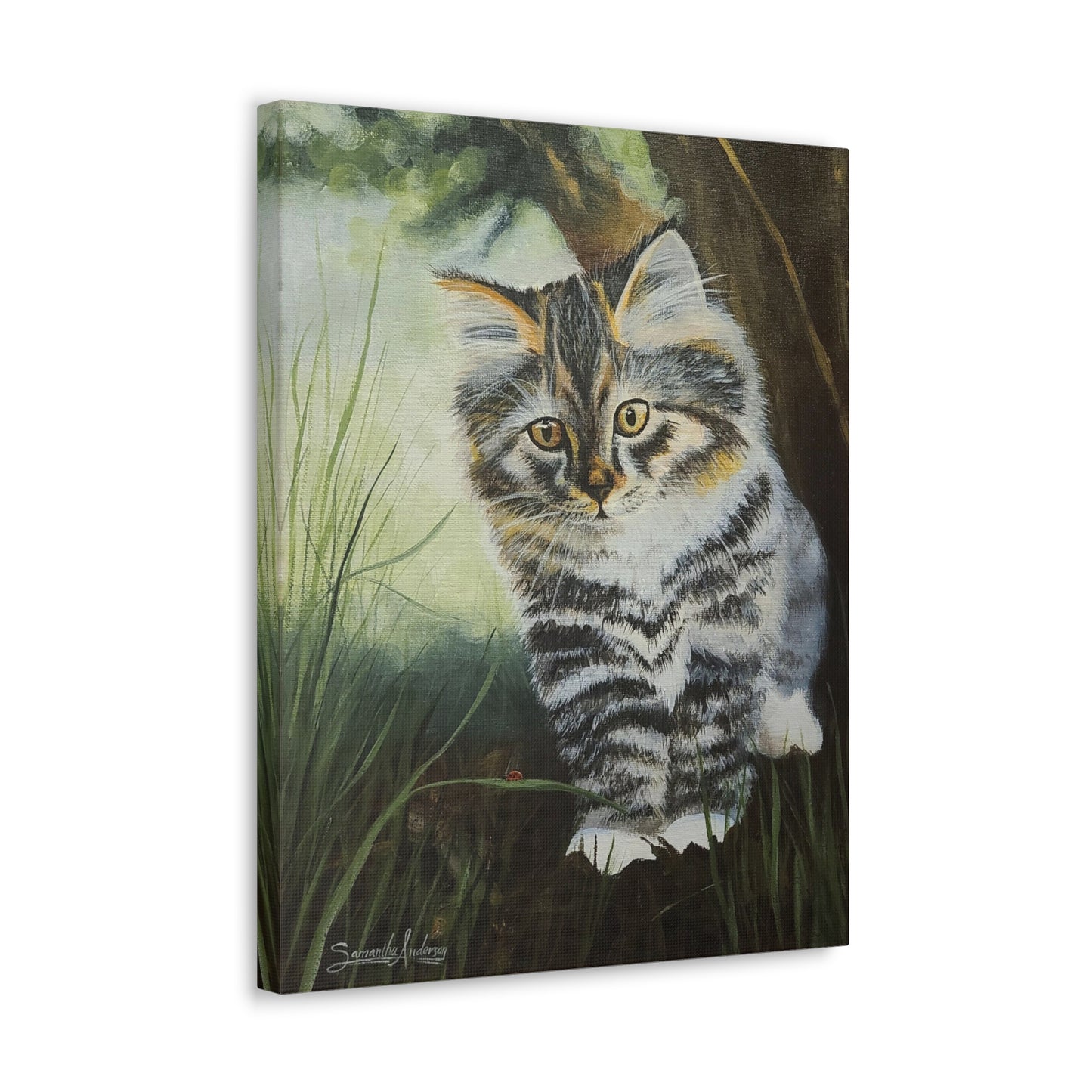 Tabby Kitten - Classic Canvas
