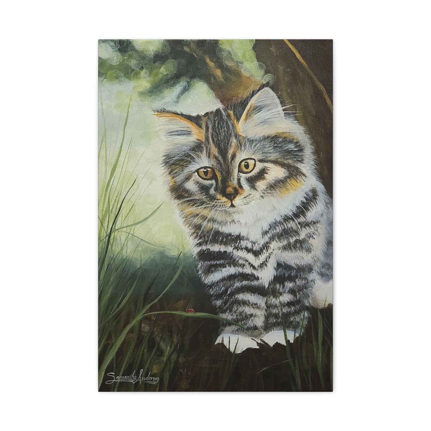 Tabby Kitten - Classic Canvas