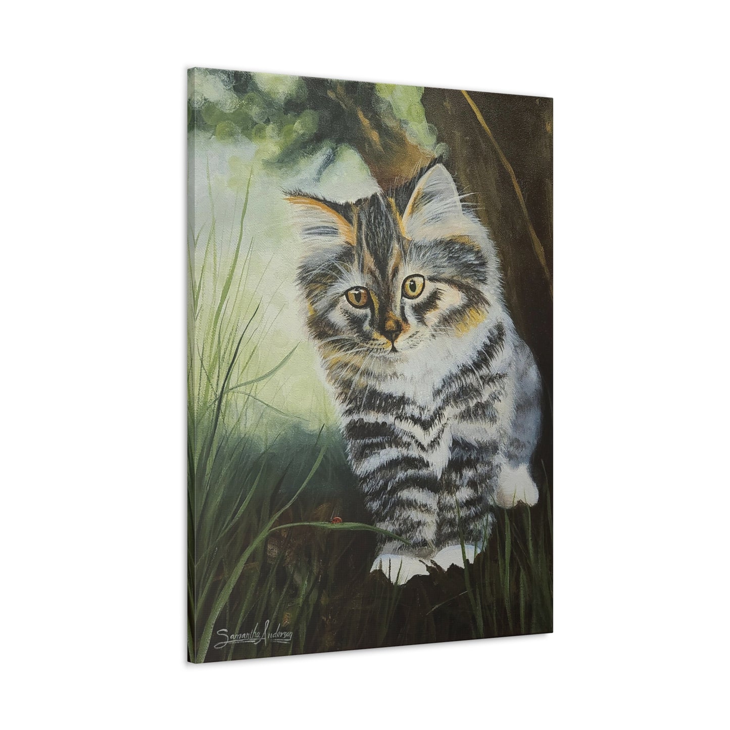 Tabby Kitten - Classic Canvas