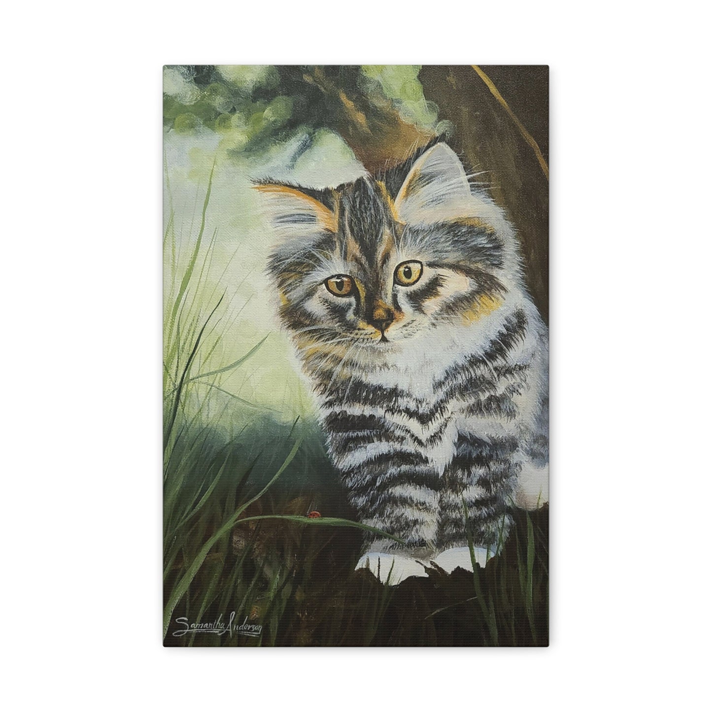 Tabby Kitten - Classic Canvas