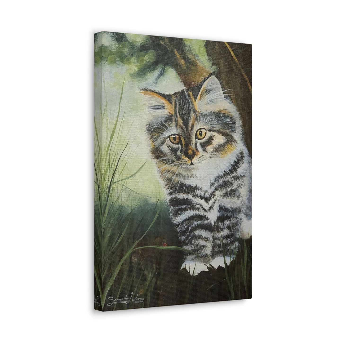 Tabby Kitten - Classic Canvas