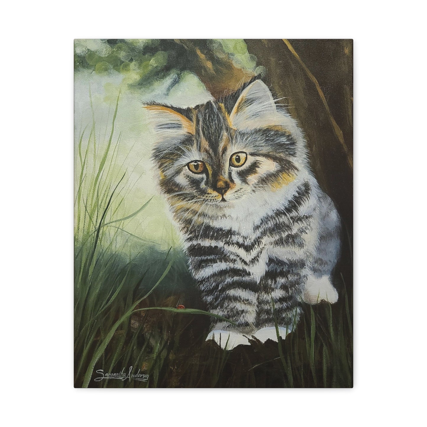 Tabby Kitten - Classic Canvas